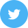 icon twitter