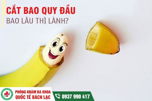 Trang chủ